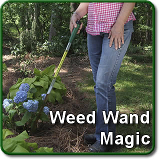 The Weed Wand Magic Herbicide Applicator 