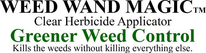 WEED WAND MAGIC(TM) / Clear Herbicide Applicator / Greener Weed Control / Kills the weeds without killing everything else. 